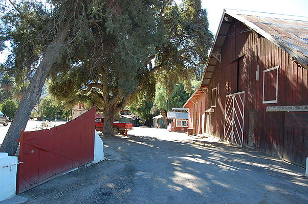 DSC 0012