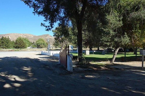 DSC 0007