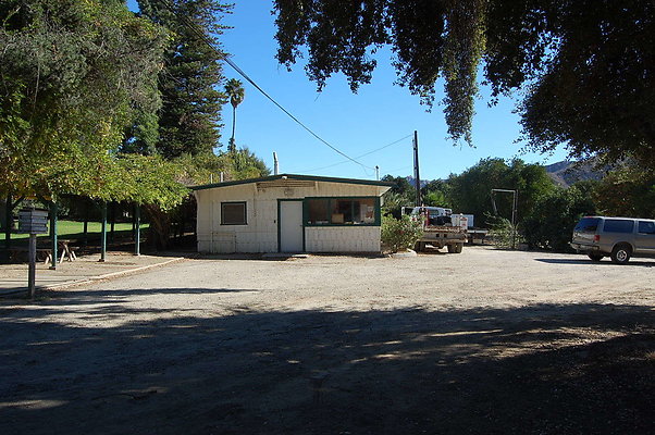 DSC 0008