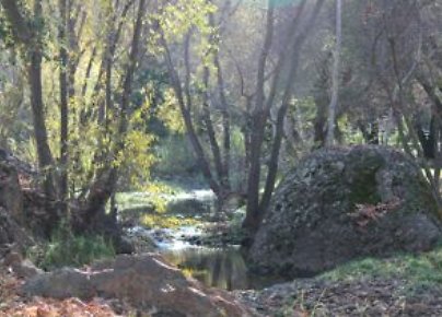 Canyon.Ranch.Creek