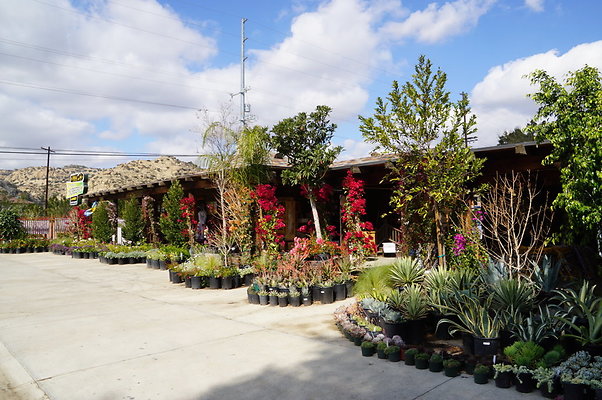 Topanga.Nursery.Chats.19