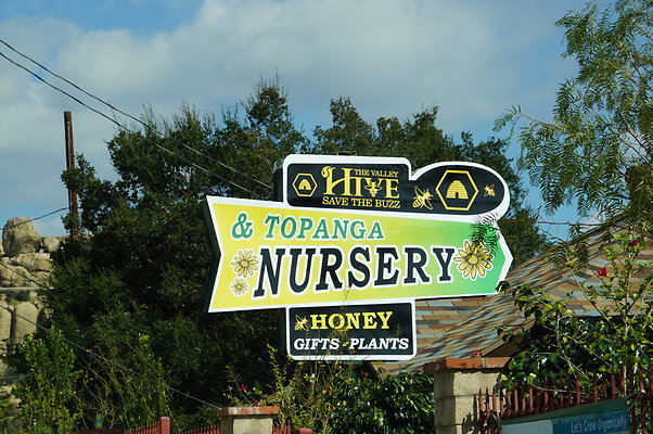Topanga Nursery.Chats