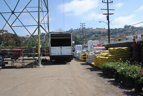 DSC 0450