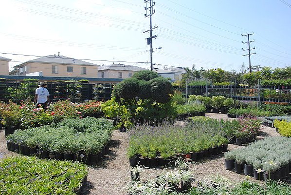 DSC 0493