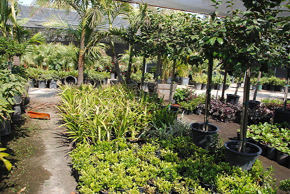 DSC 0476