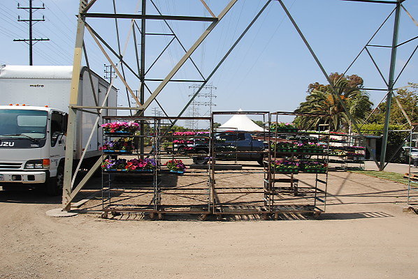 DSC 0459