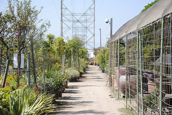 DSC 0503