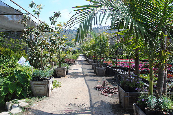 DSC 0486