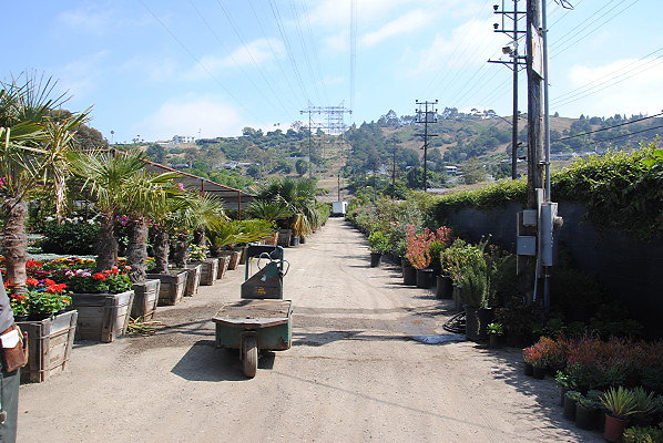 DSC 0461