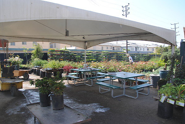 DSC 0491