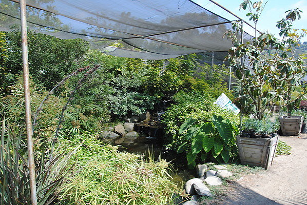 DSC 0485