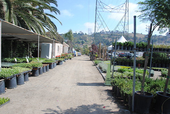 DSC 0509