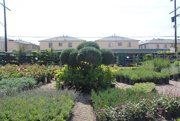 DSC 0496