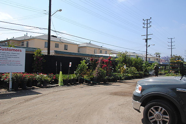 DSC 0446