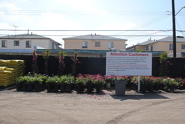DSC 0445