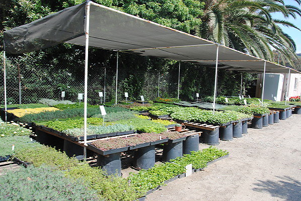 DSC 0508
