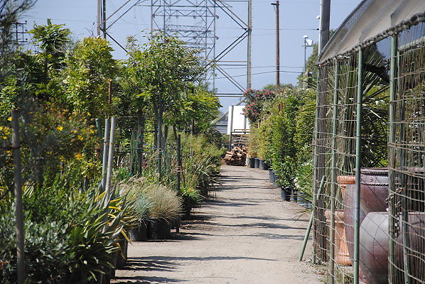 DSC 0504