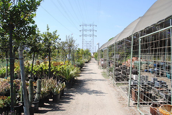 DSC 0502