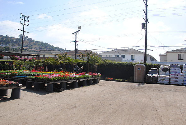 DSC 0454