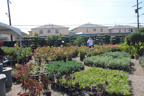 DSC 0492