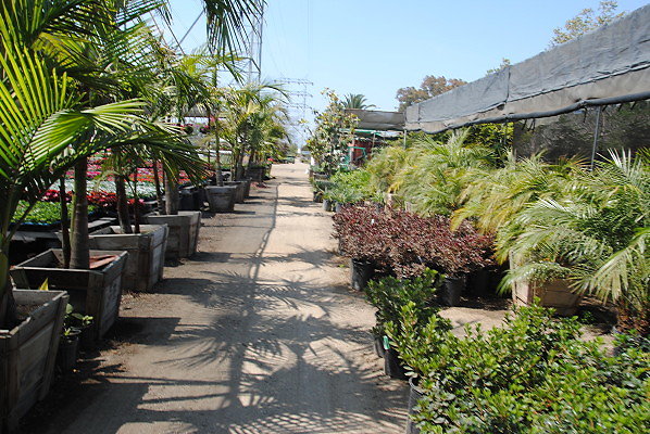DSC 0479