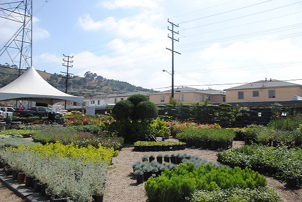 DSC 0510