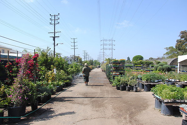 DSC 0447