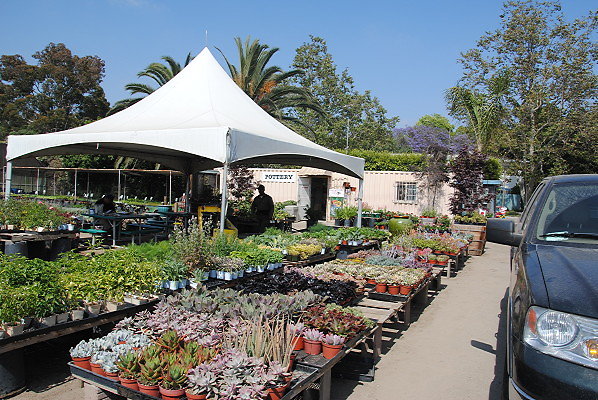 DSC 0449