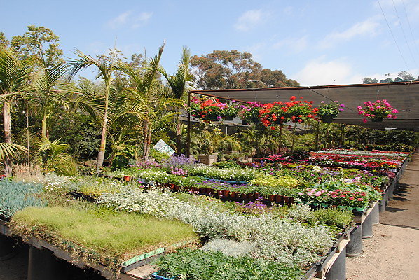 DSC 0466