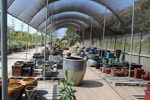 DSC 0505