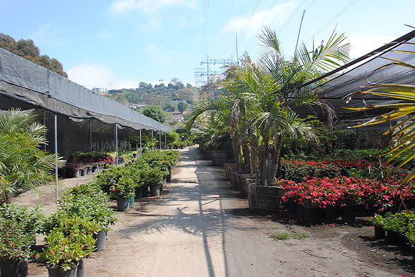 DSC 0478