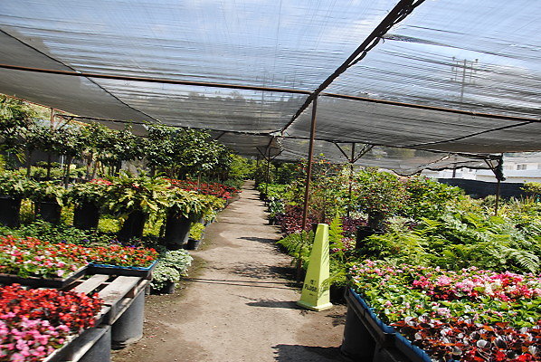 DSC 0473