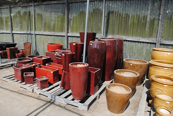 DSC 0506