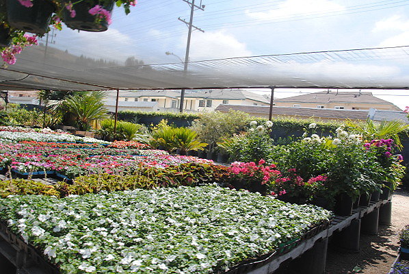 DSC 0468
