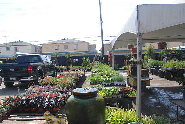 DSC 0490