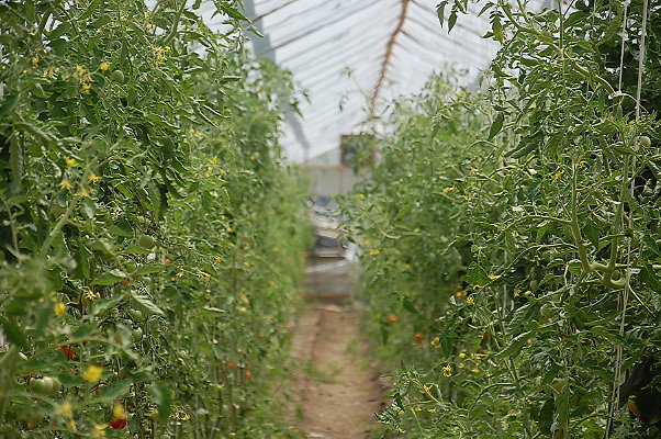 DSC 0197