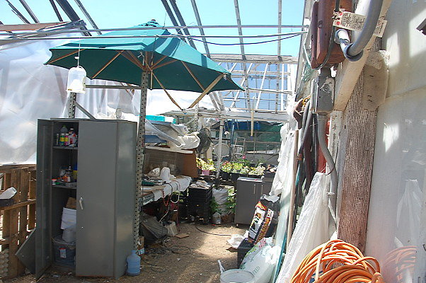 DSC 0193