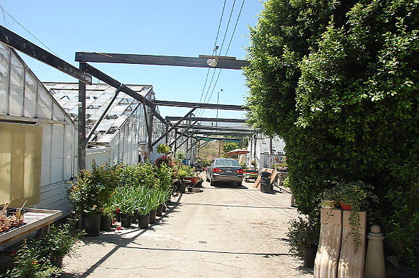 DSC 0177