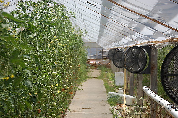 DSC 0200