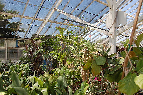 DSC 0216