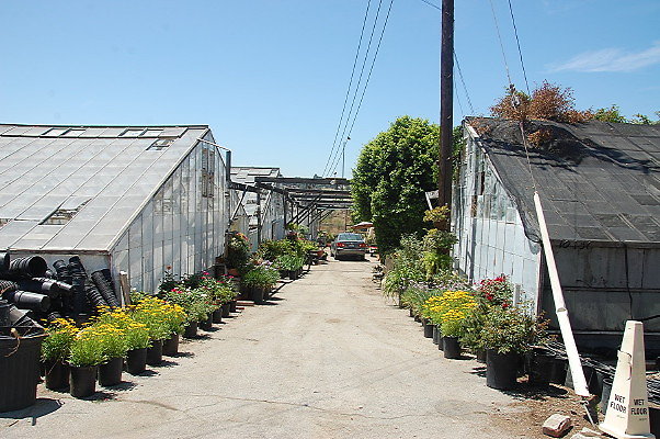 DSC 0174