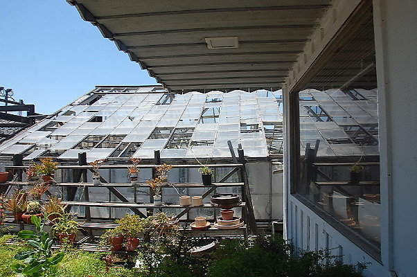 DSC 0234
