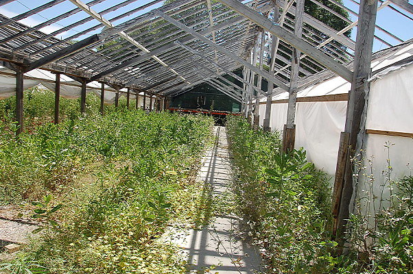 DSC 0214
