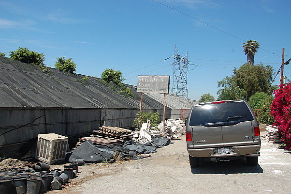 DSC 0175
