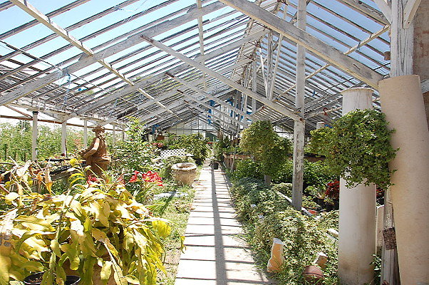 DSC 0206