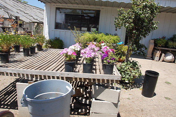 DSC 0226