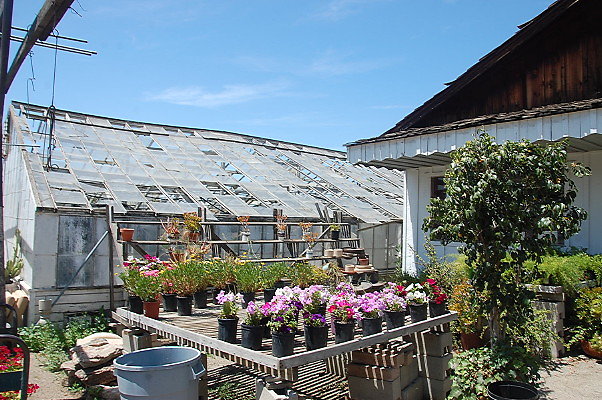 DSC 0190