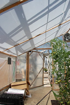 DSC 0203