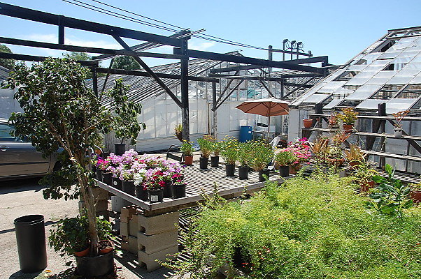 DSC 0233
