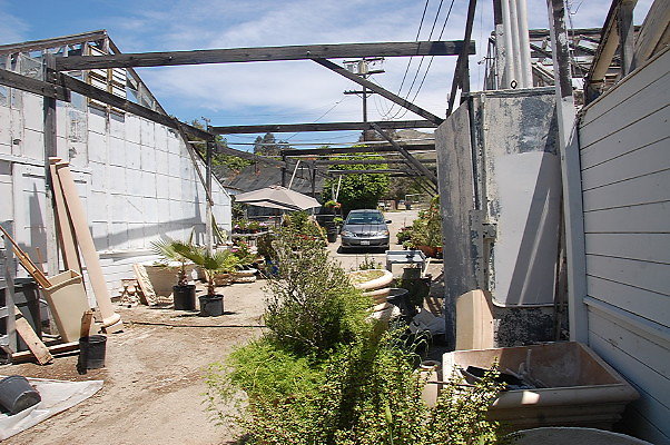 DSC 0225